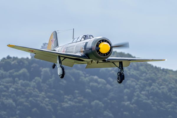 Yak-11 Hahnweide 2025