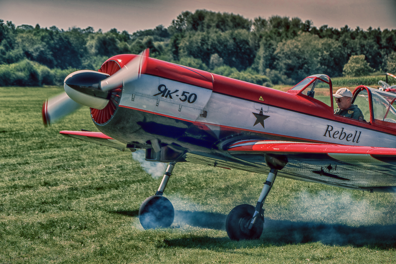 Yak 50