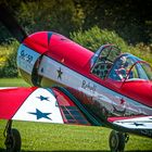 Yak 50