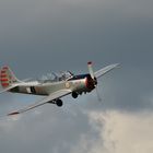 Yak 52 Aufnahme 2