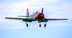 Yak 52