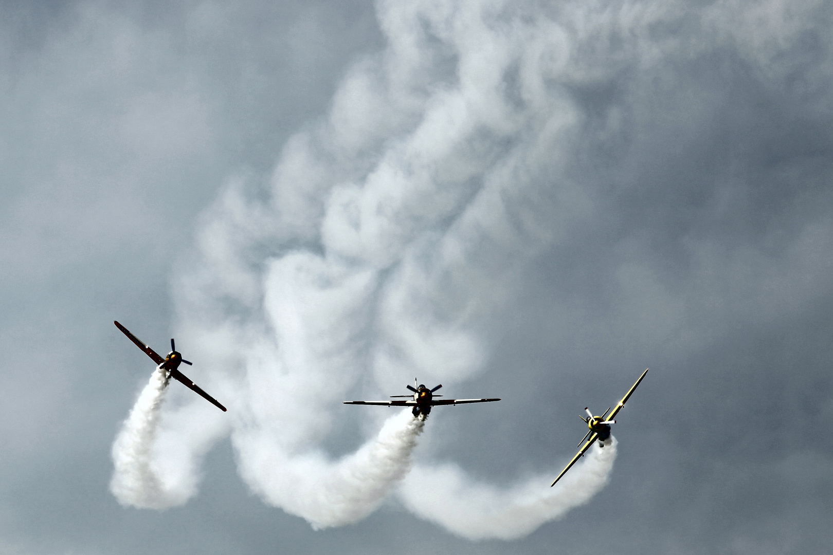 Yak-52 "Iacarii Acrobati - Aerobatics Yakers