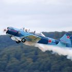 Yak-52 in Action