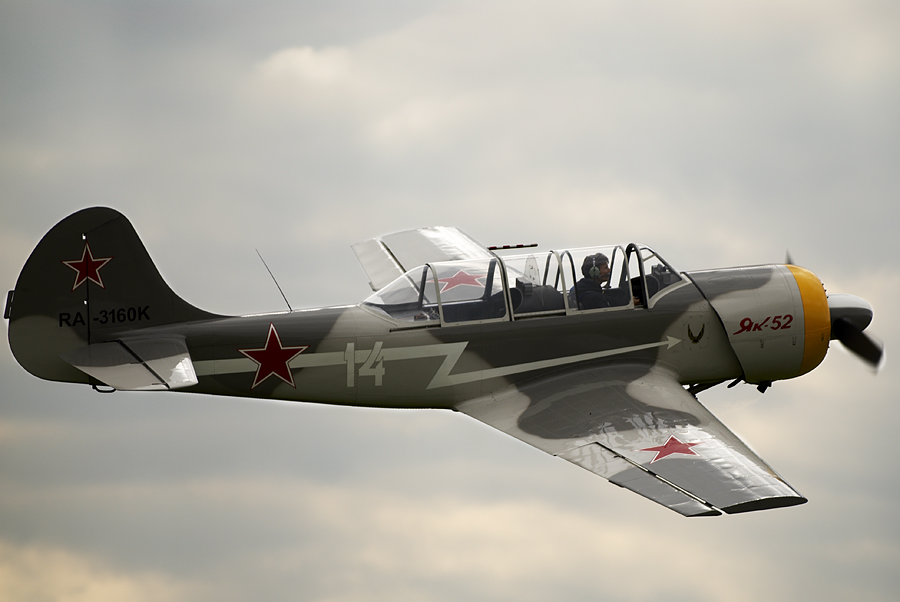 YAK-52 / RA-3160K