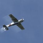 Yak - 52 TD