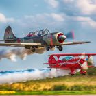 Yak-52 und Pitts S-2