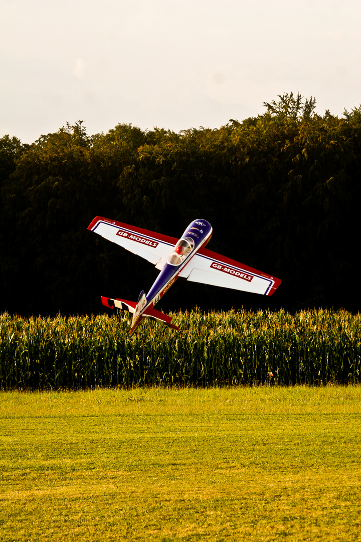 Yak 55M