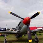 Yak-9