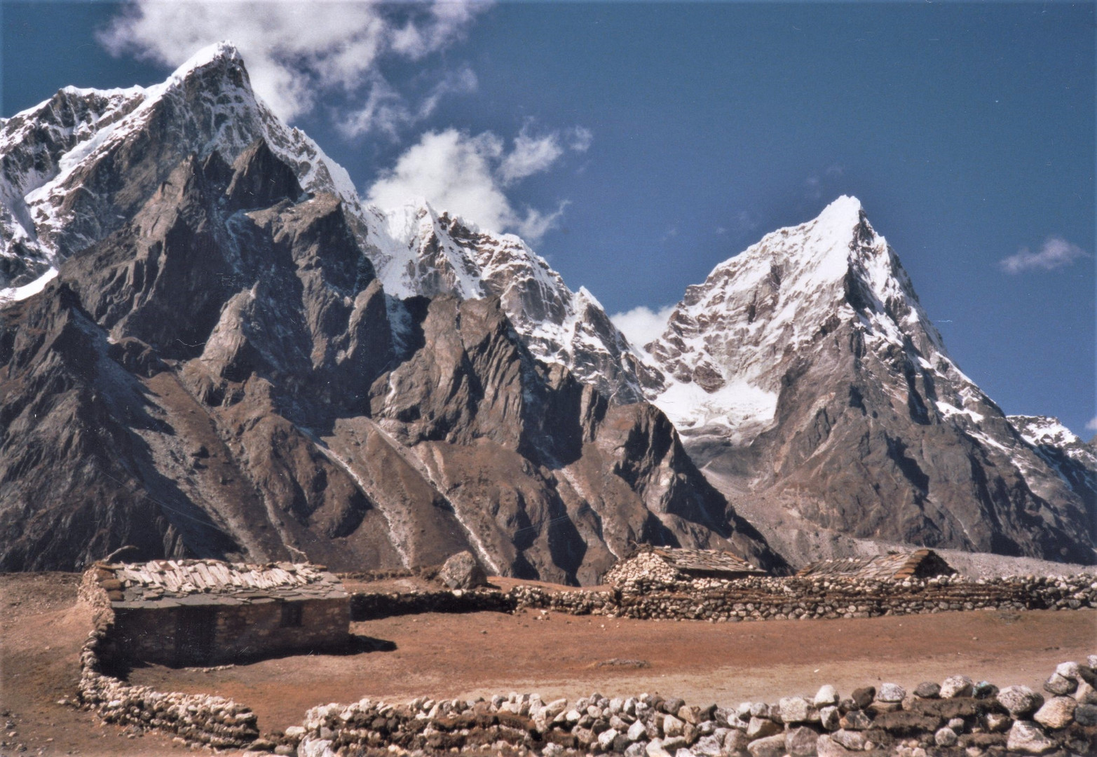 Yak-Almen im Himalaya