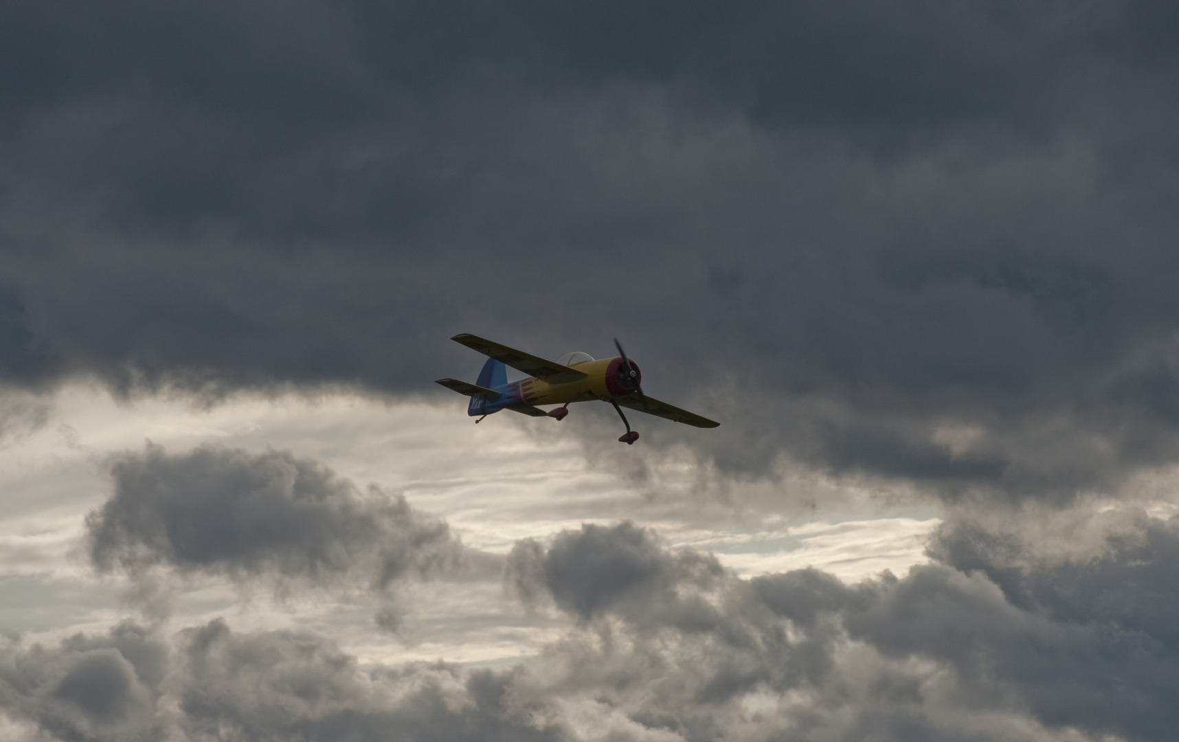 Yak im Vorbeiflug