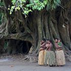 Yakel Insel Tanna/ Vanuatu