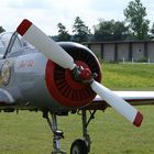 Yakolev YAK 52 (02)