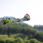 Yakovlev Yak-52 - im Niederen Überflug - Flugplatzfest Füssen 2011