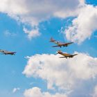 Yakovlev Yak-52 in Formation