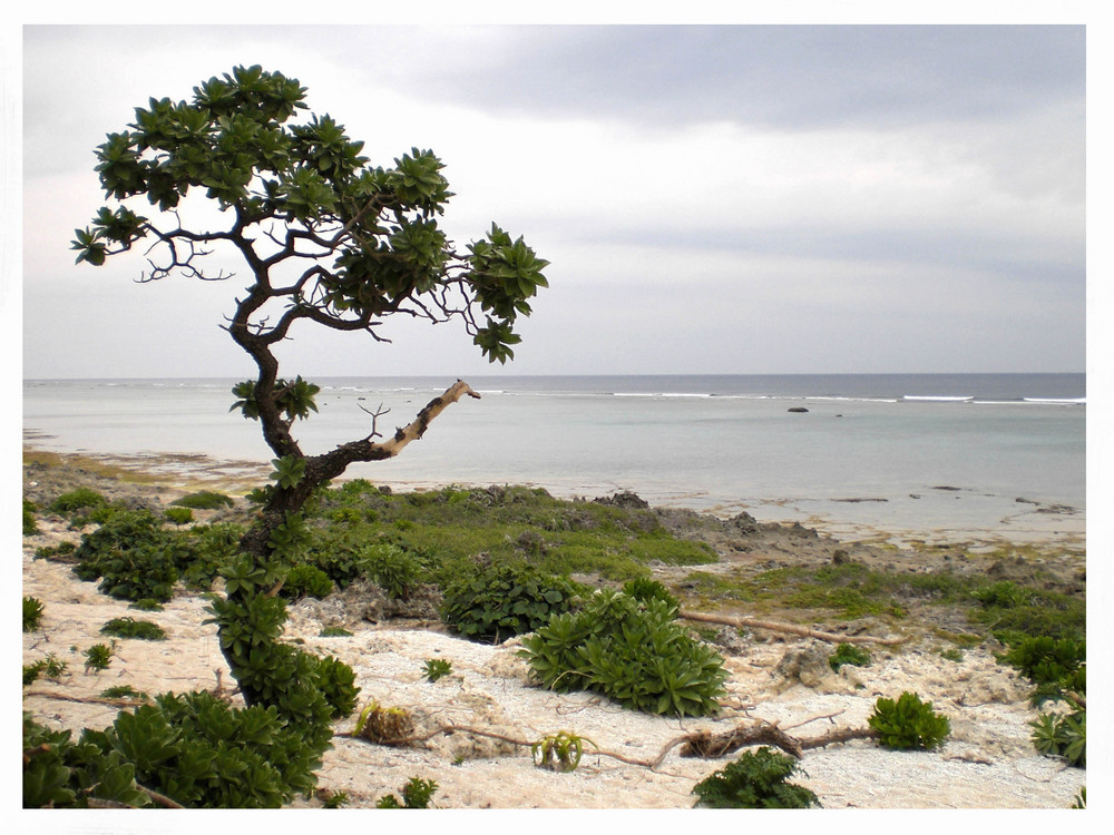 Yakushima