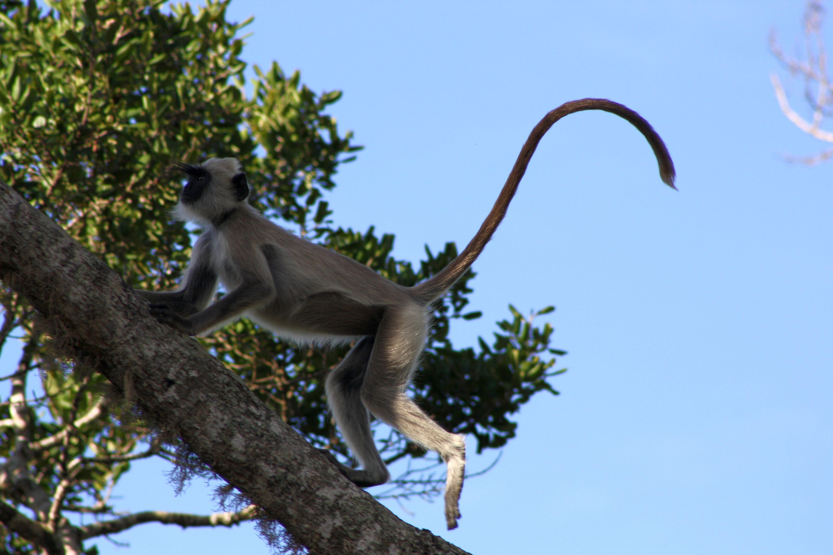 Yala Nationalpark