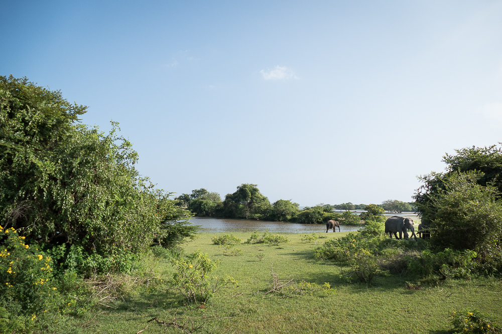 Yala-Nationalpark, Sri Lanka