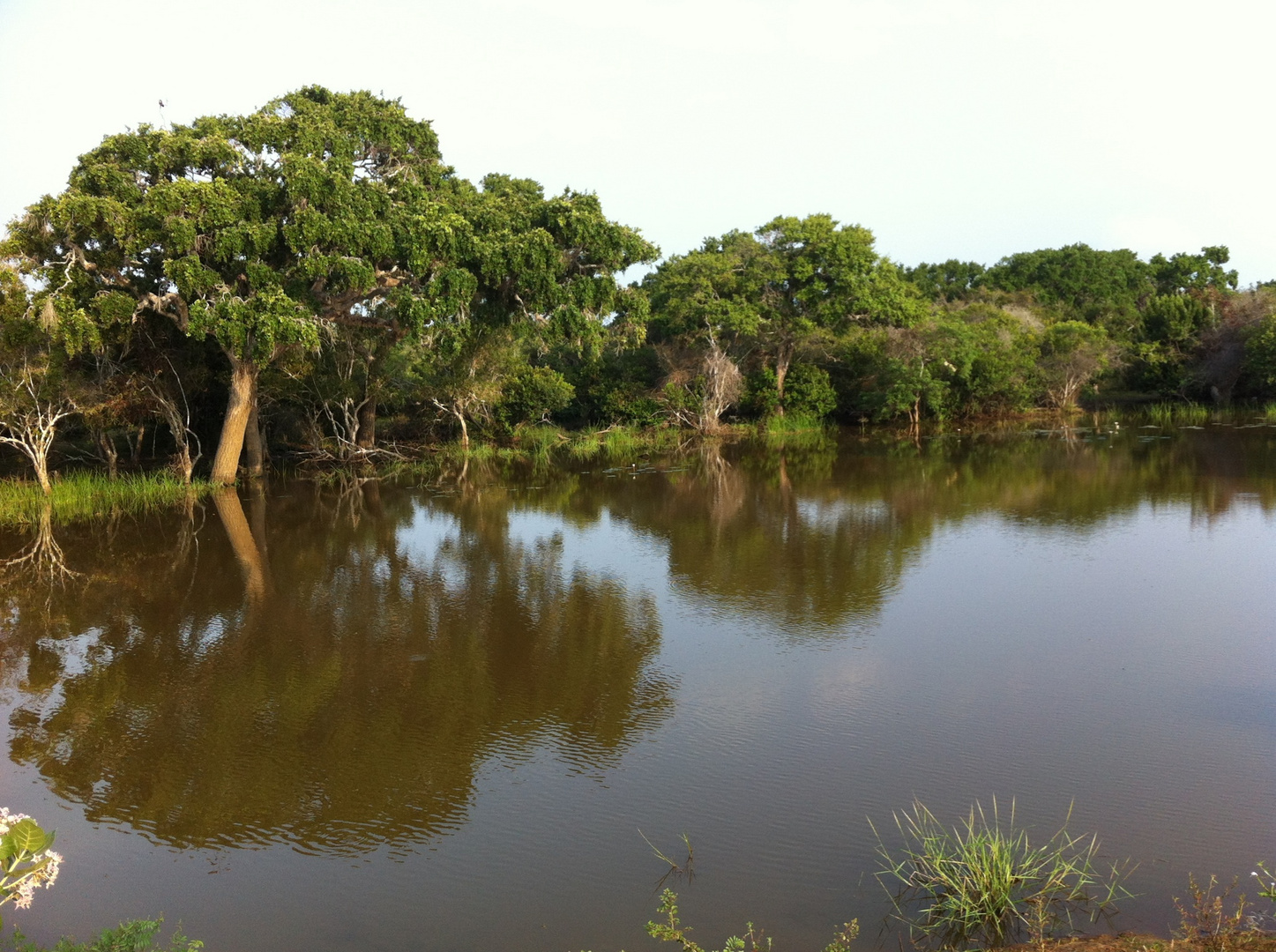 Yala-Nationalpark, Sri Lanka