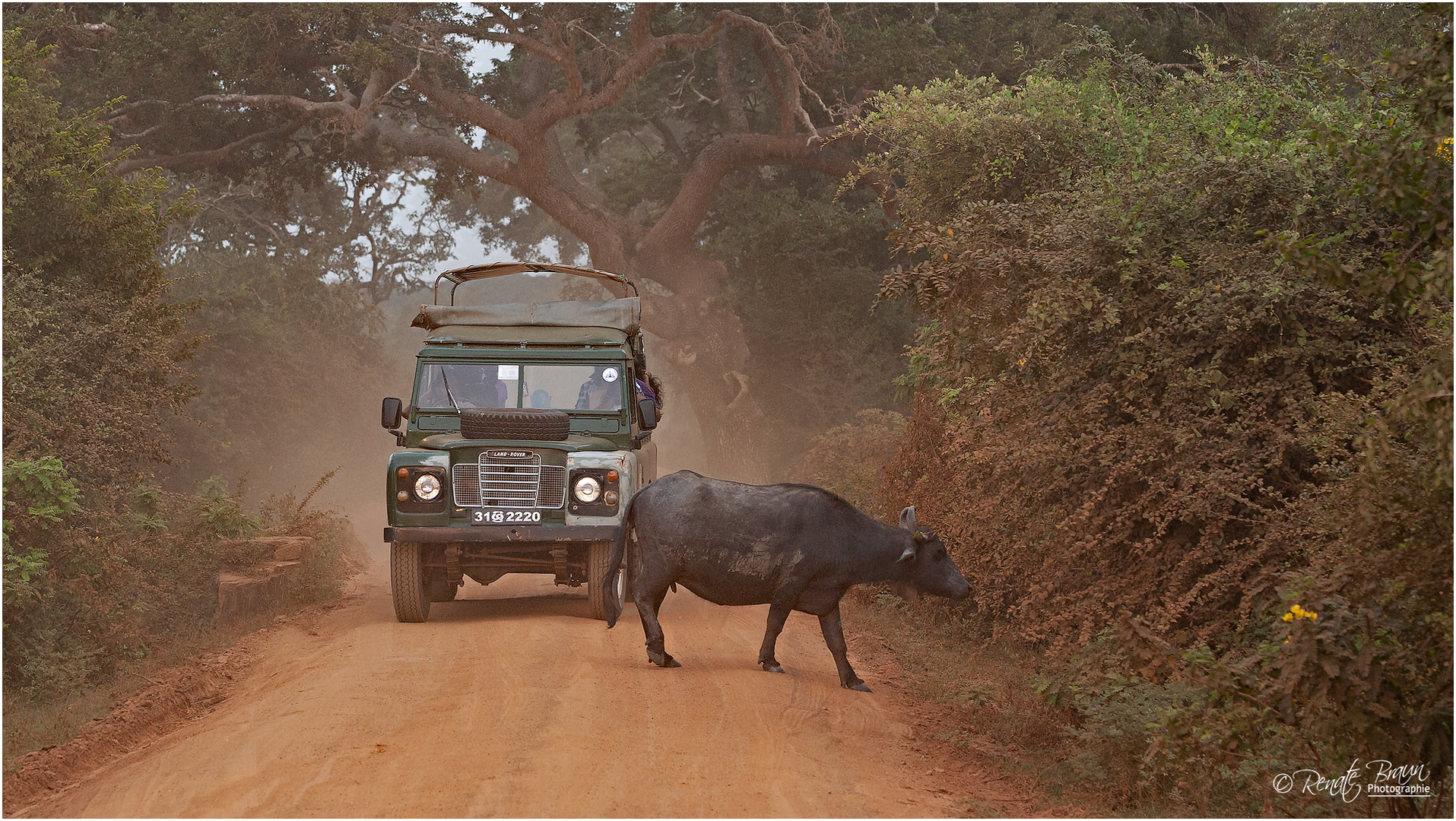 Yala Park, Sri Lanka