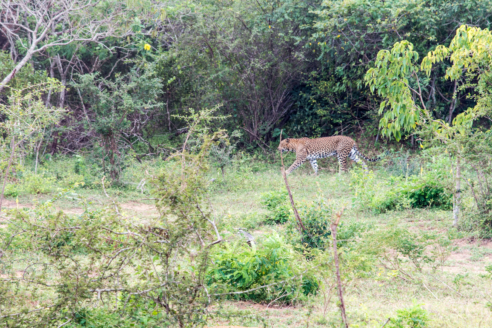 Yale Nationalpark 7