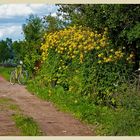 " yallow village life"