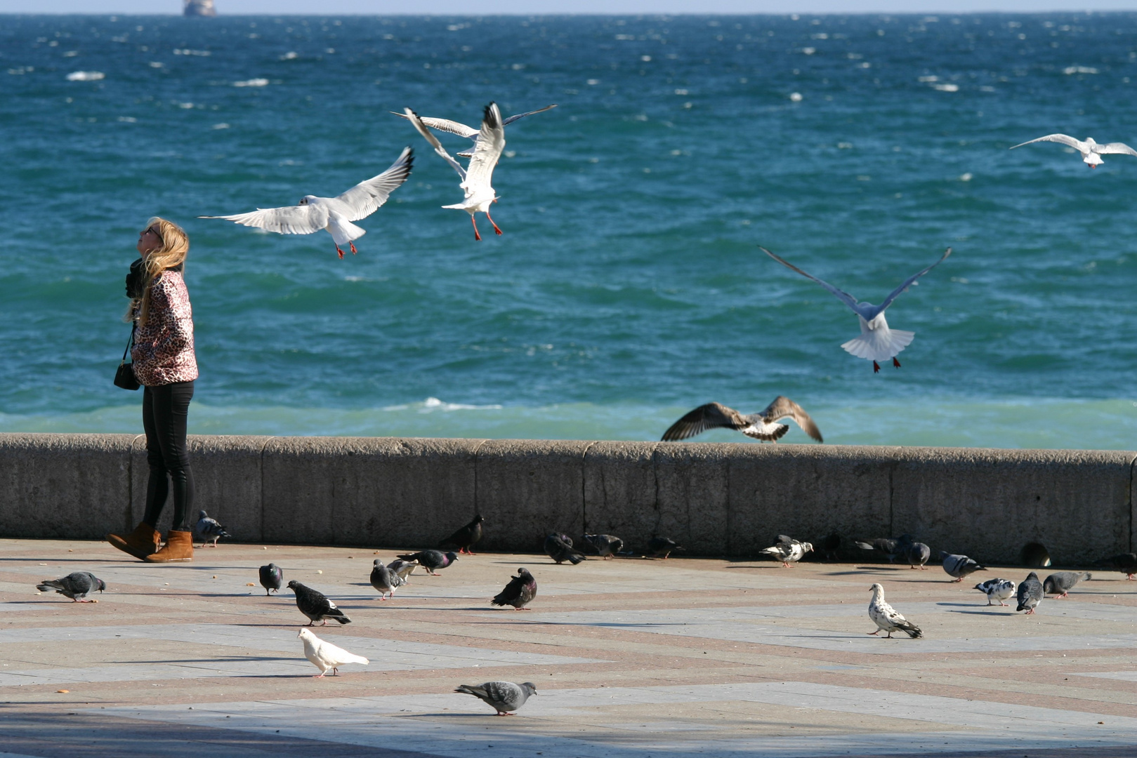 Yalta, girl, sea, breeze, seagulls