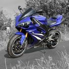 Yamaha R1