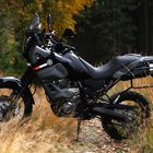 Yamaha Tenere XT660Z