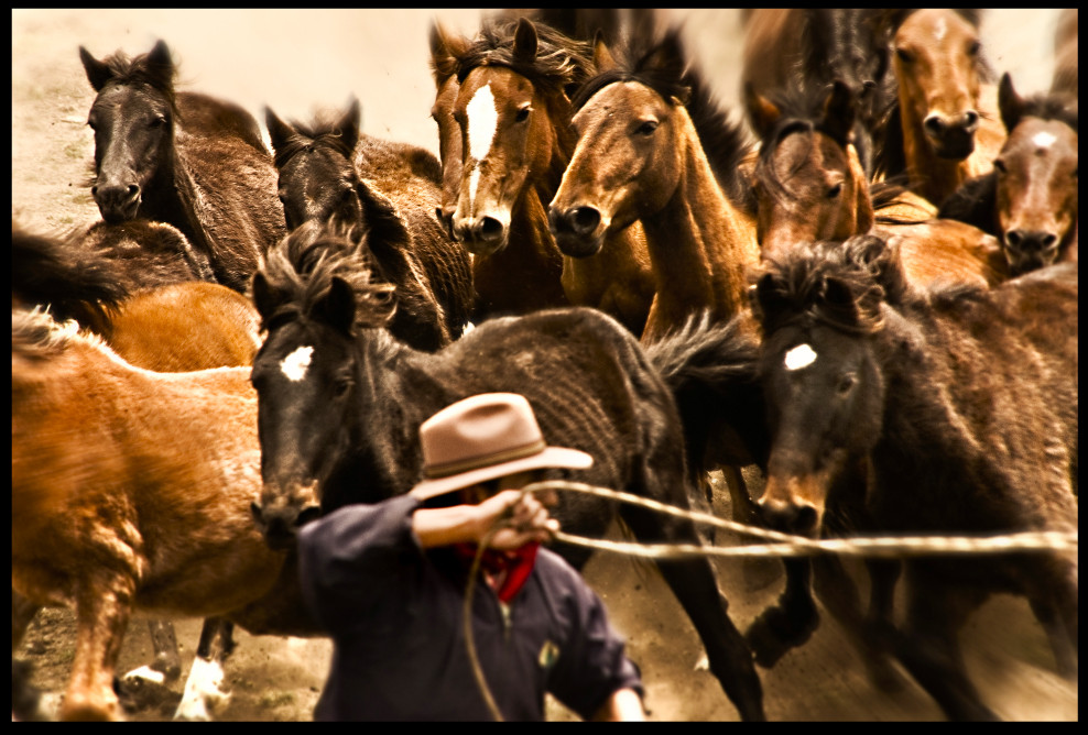 Yanahurco Rodeo 2008.