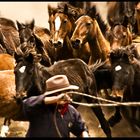 Yanahurco Rodeo 2008.