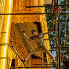 Yangon worker brush paint Golden Pagoda