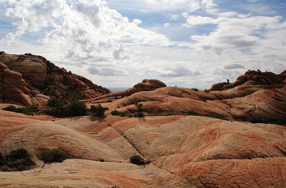 Yant Flat bei Saint George - Ein Überblick Richtung Candy Cliffs...