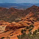  Yant Flat Candy Cliffs