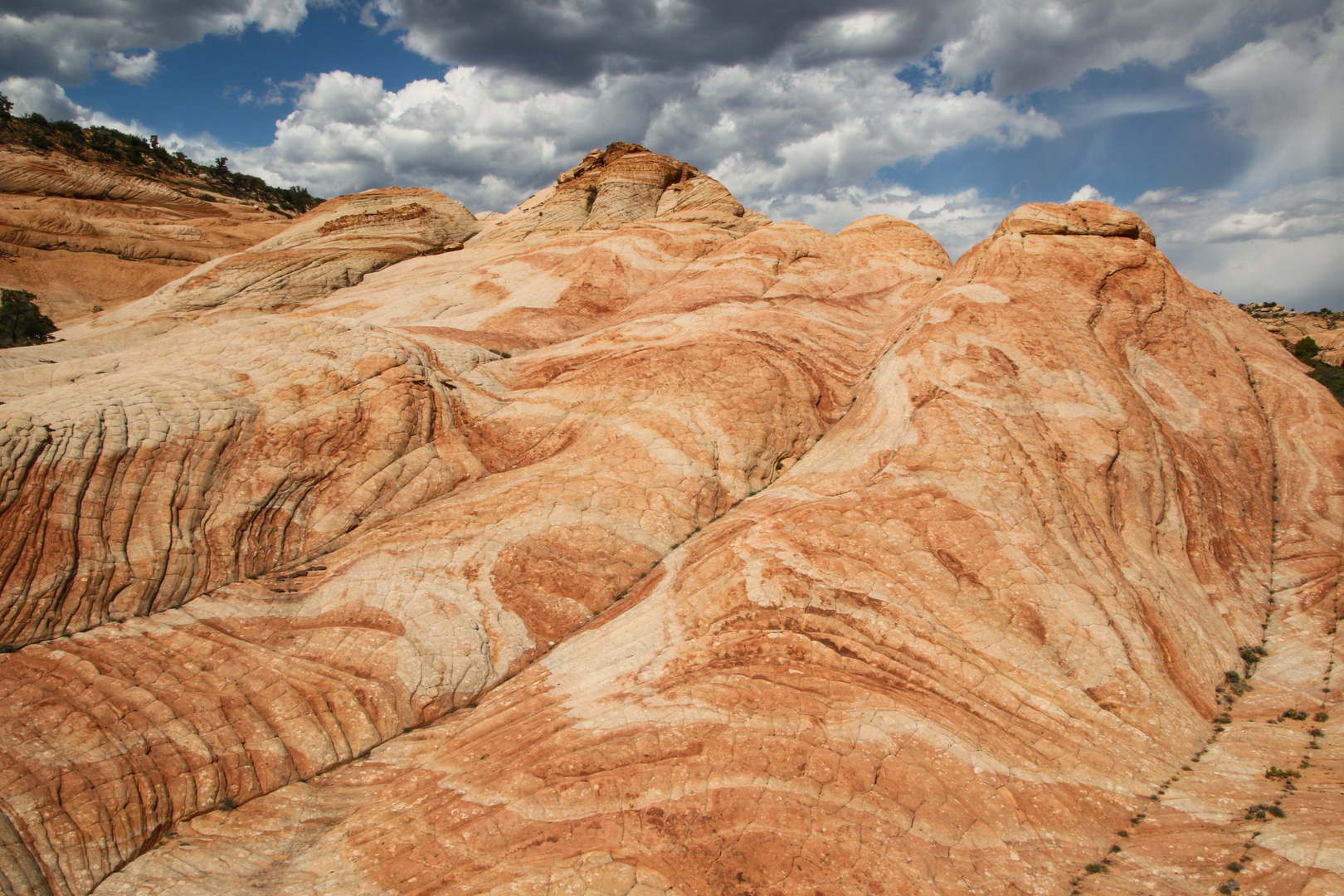 Yant Flat Foto & Bild | north america, united states, utah Bilder auf