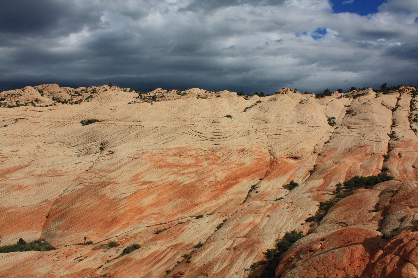 Yant Flat/Candy Cliffs