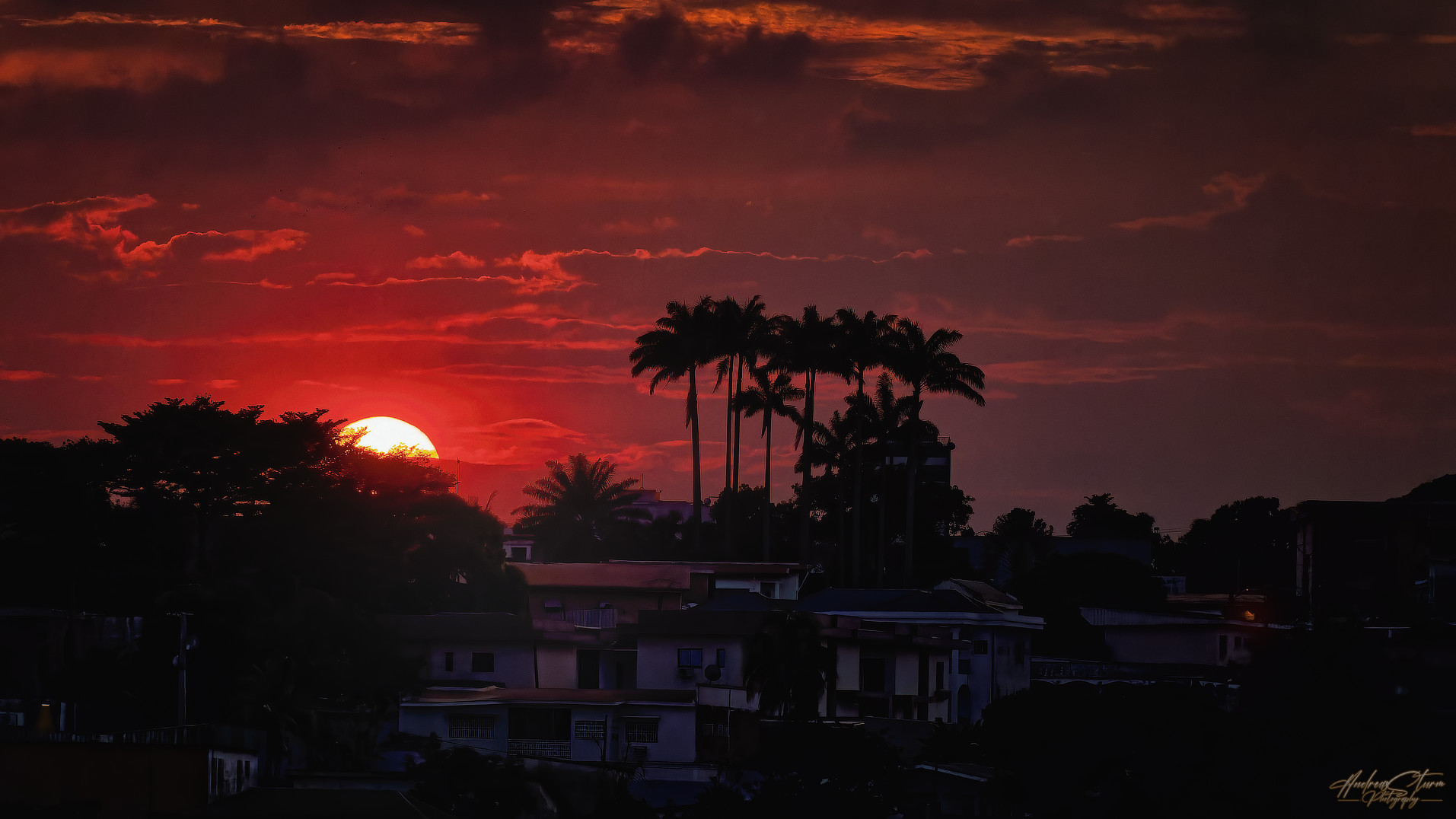 Yaoundé By Night II