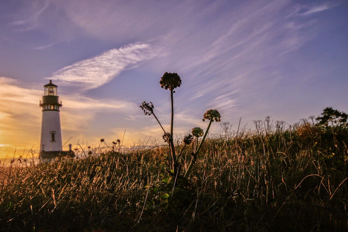 Yaquina Head Lighthouse