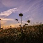 Yaquina Head Lighthouse