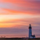  Yaquina Head Lighthouse