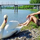 Yara und der Schwan