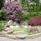 Yard Landscape / Pond with fountain