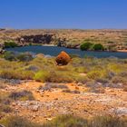 Yardie Creek