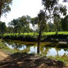 YARKON PARK TEL AVIV