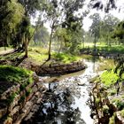 YARKON RIVER TEL AVIV