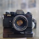 Yashica