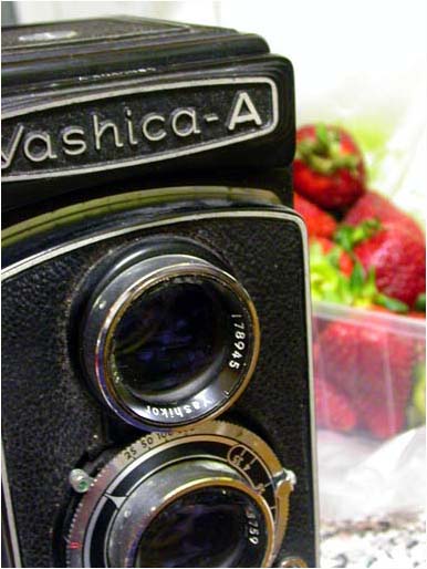 yashica-a