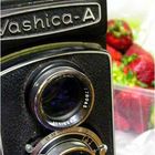 yashica-a