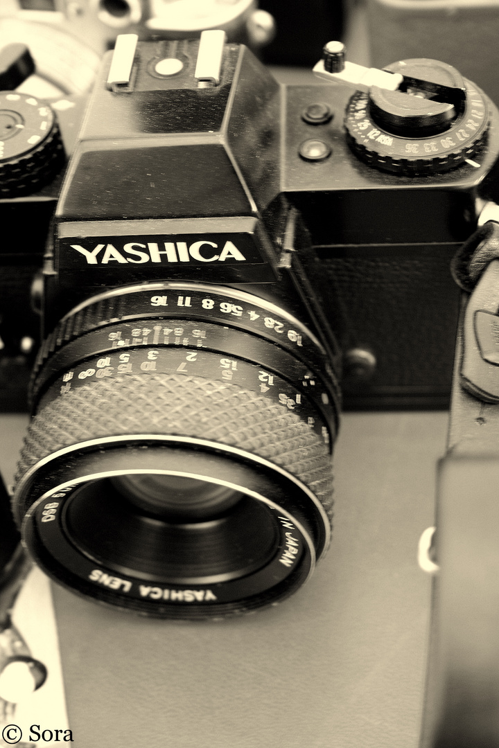 Yashica