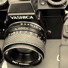 Yashica