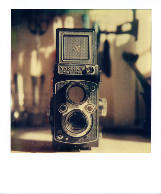 yashica.pola...